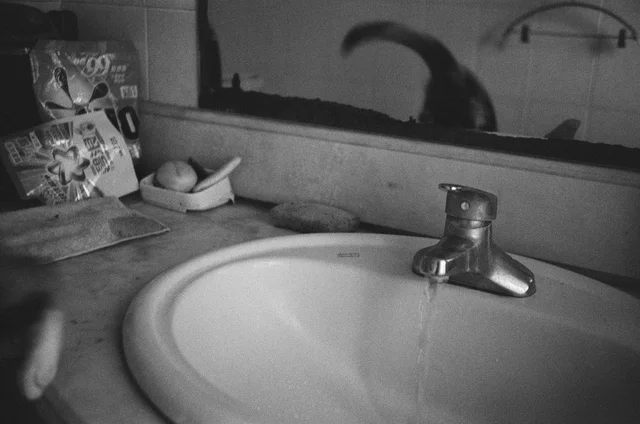 A bathroom sink and mirror reflecting a cat with its tail raised