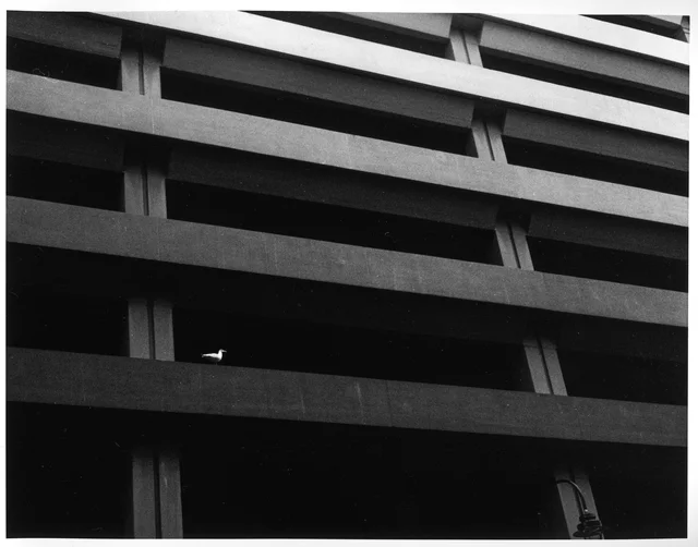 Repeating horizontal concrete bands across a dark building facade