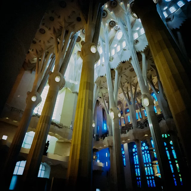Towering branching columns and stained-glass windows inside a church