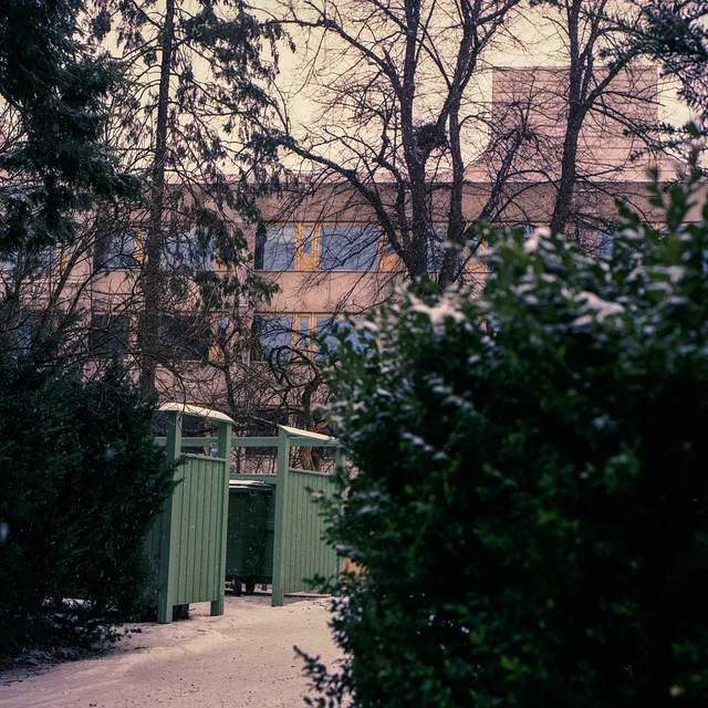 A green gate between hedges beside a lightly snow-covered path