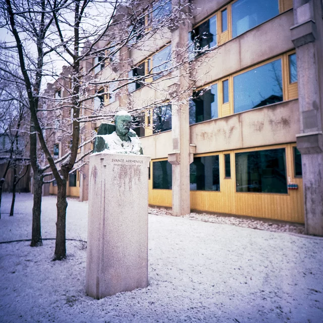 A green bust on a pale pedestal among bare trees beside a building