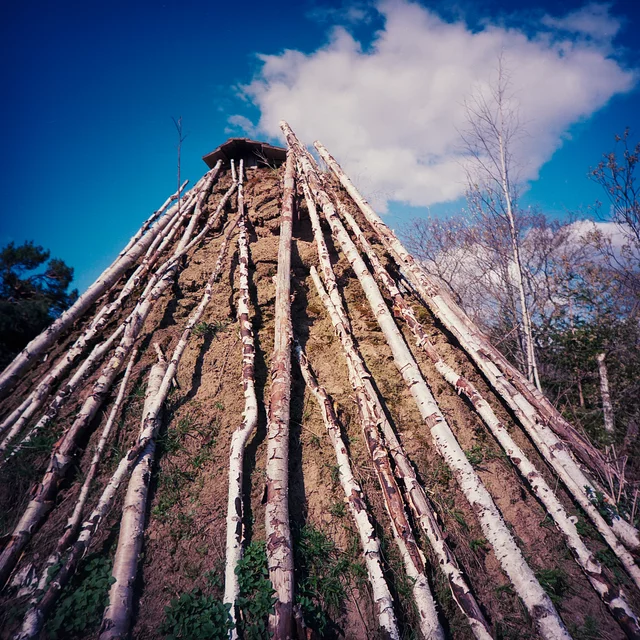 Long wooden poles leaning around a large conical mound