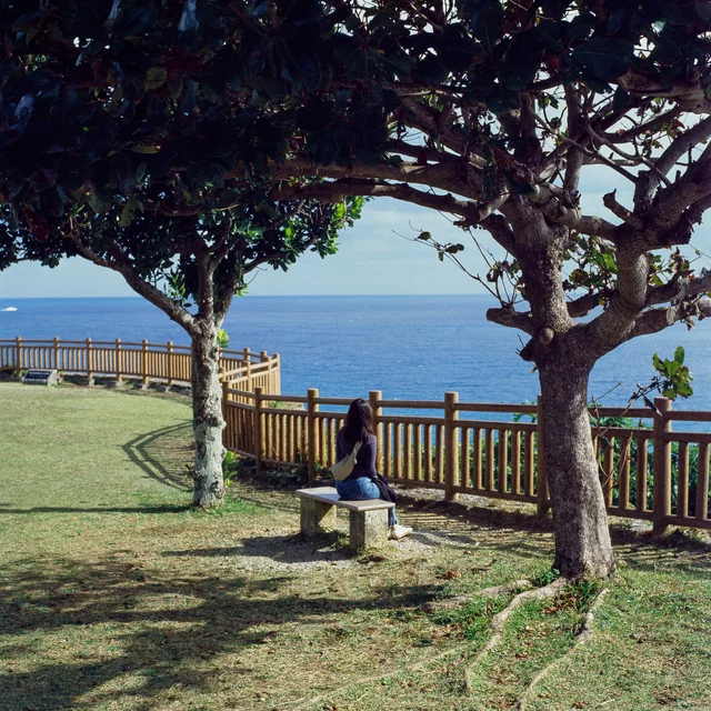 A person seated between trees beside a wooden railing overlooking the sea
