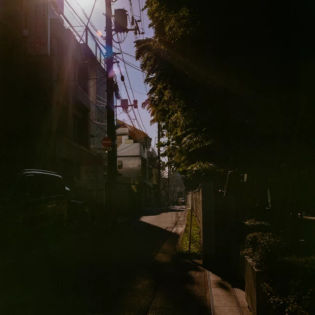 Sunlight entering a narrow shaded street lined with buildings, trees and overhead wires