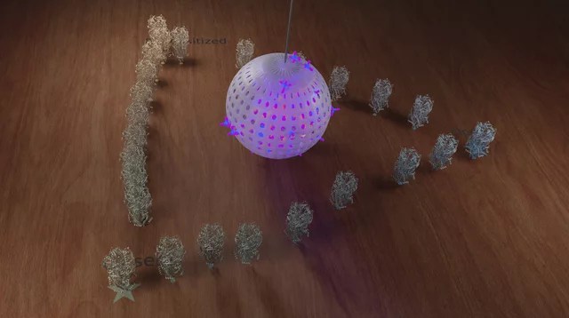 α7 disco ball — scientific visualisation from the Simulation collection