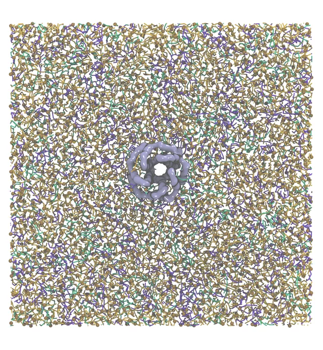 E protein — scientific visualisation from the Simulation collection